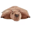 Disney Encanto Capybara Pillow Pet